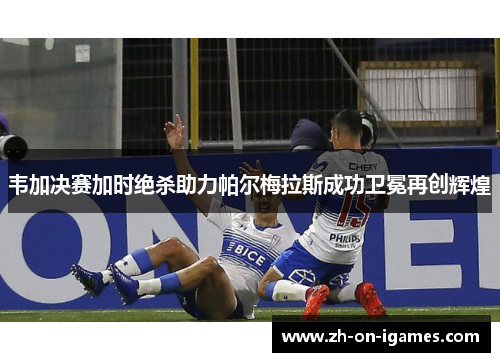 韦加决赛加时绝杀助力帕尔梅拉斯成功卫冕再创辉煌